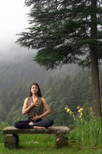 Woman practicing meditation in serene forest environment, Dharamshala, India.